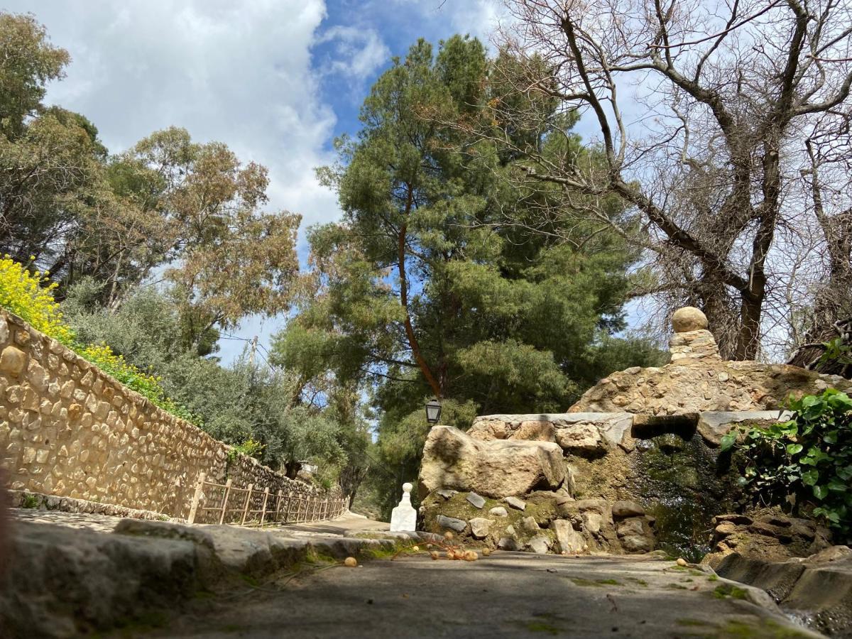 Bedmar y Garciez Hostal Rural De Cuadros מראה חיצוני תמונה