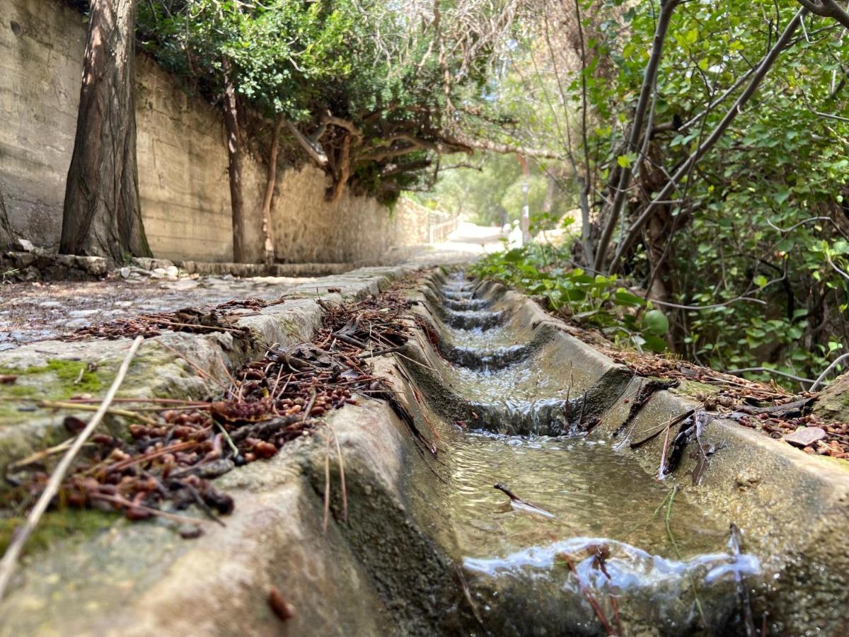 Bedmar y Garciez Hostal Rural De Cuadros מראה חיצוני תמונה