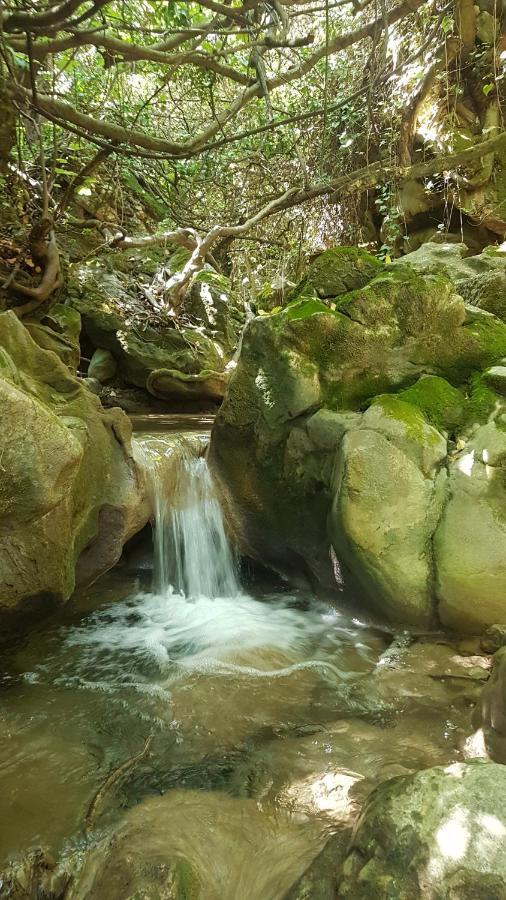 Bedmar y Garciez Hostal Rural De Cuadros מראה חיצוני תמונה